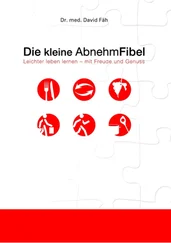 David Fäh - Die kleine AbnehmFibel