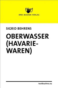 Sigrid Behrens Oberwasser (Havariewaren) обложка книги