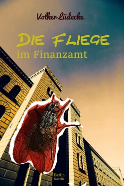 Volker Lüdecke Die Fliege im Finanzamt обложка книги