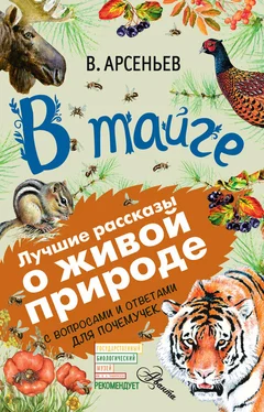 Владимир Арсеньев В тайге (сборник). С вопросами и ответами для почемучек обложка книги