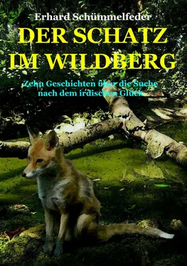 Erhard Schümmelfeder DER SCHATZ IM WILDBERG обложка книги