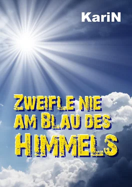 KariN . Zweifle nie am Blau des Himmels обложка книги