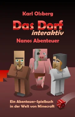 Karl Olsberg Das Dorf interaktiv: Nanos Abenteuer обложка книги