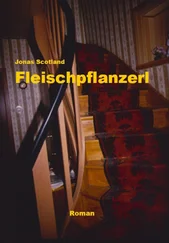 Jonas Scotland - Fleischpflanzerl