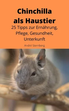 André Sternberg Chinchilla als Haustier обложка книги