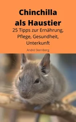 André Sternberg - Chinchilla als Haustier