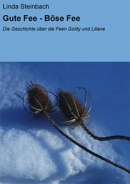 Linda Steinbach Gute Fee - Böse Fee обложка книги