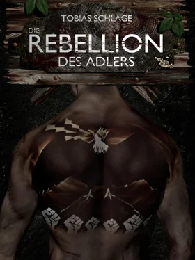 Tobias Schlage Die Rebellion des Adlers обложка книги
