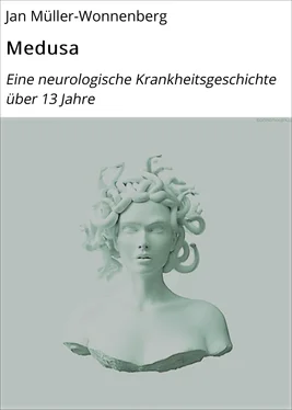Jan Müller-Wonnenberg Medusa обложка книги