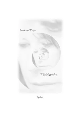 Ernst von Wegen Fliehkräfte обложка книги