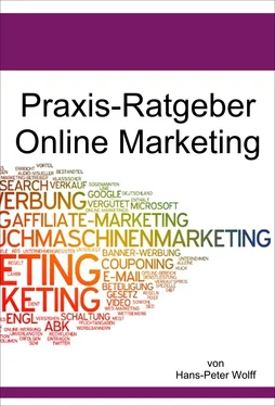 Hans-Peter Wolff Ratgeber Online-Marketing обложка книги