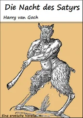 Harry von Goch - Die Nacht des Satyrs