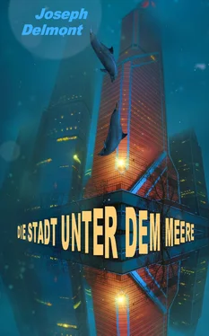 Joseph Delmont Die Stadt unter dem Meere (Roman) обложка книги