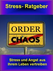 Thomas Schmid - Stress-Ratgeber