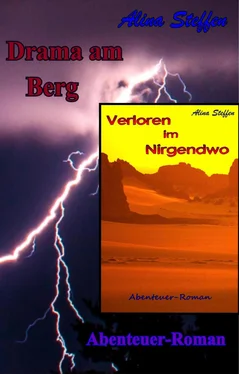 Alina Steffen Drama am Berg / Verloren im Nirgendwo обложка книги