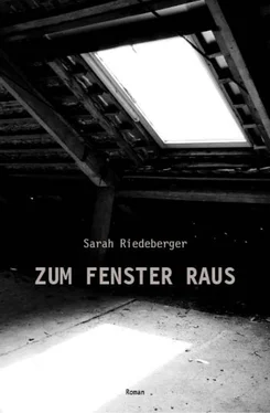 Sarah Riedeberger ZUM FENSTER RAUS обложка книги