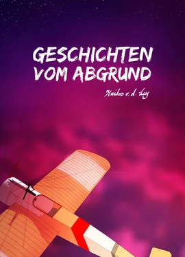 Haiko Von der Ley Geschichten vom Abgrund обложка книги