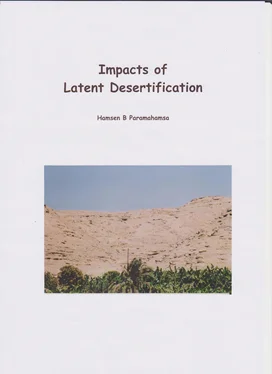Hamsen B. Paramahamsa Impacts of Latent Desertification обложка книги
