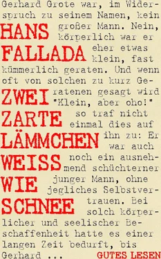 Hans Fallada Zwei zarte Lämmchen weiß wie Schnee обложка книги