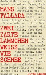 Hans Fallada - Zwei zarte Lämmchen weiß wie Schnee
