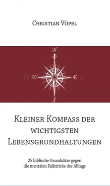 Christian Vöpel Kleiner Kompass der wichtigsten Lebensgrundhaltungen обложка книги