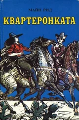 Майн Рид - Квартеронката