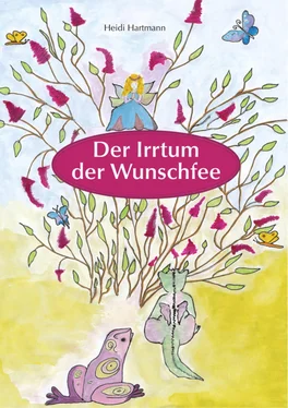 Heidi Hartmann Der Irrtum der Wunschfee обложка книги