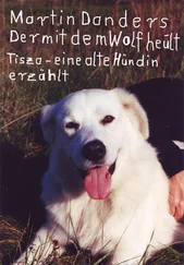 Martin Danders - Der mit dem Wolf heult