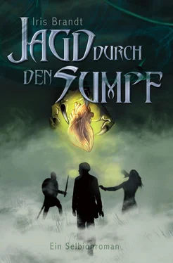 Iris Brandt Jagd durch den Sumpf обложка книги