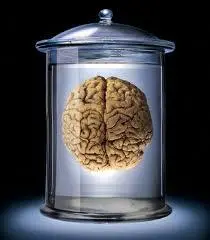 Vanuit dit perspectief een kan worden misleid met gemak omdat we geloven dat - фото 2