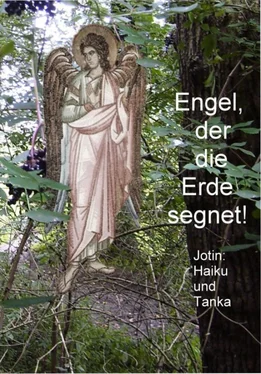Wilhelm-Josef Giebel Engel, der die Erde segnet! обложка книги