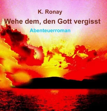 K. Ronay WEHE DEM, DEN GOTT VERGISST обложка книги