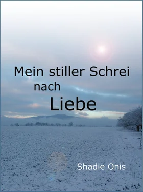 Shadie Onis Mein stiller Schrei nach Liebe обложка книги