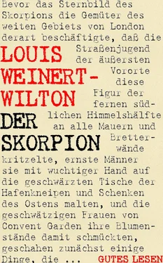 Louis Weinert-Wilton Der Skorpion обложка книги