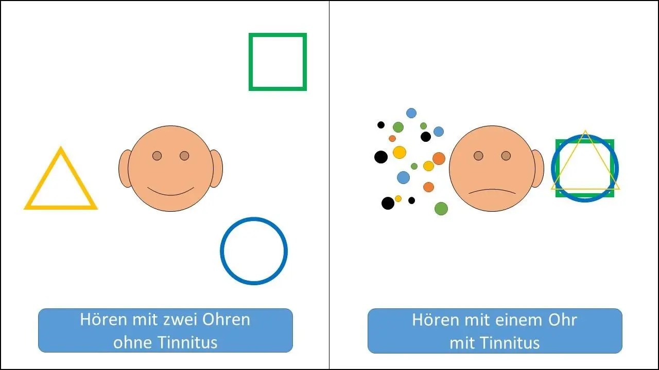 In der Grafik ist der Tinnitus ergänzt neben den bereits erörterten - фото 8
