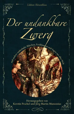 Adalbert Kuhn DER UNDANKBARE ZWERG обложка книги