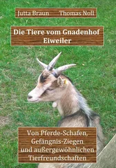 Thomas Noll - Die Tiere vom Gnadenhof Eiweiler
