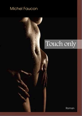 Michel Faucon Touch only обложка книги