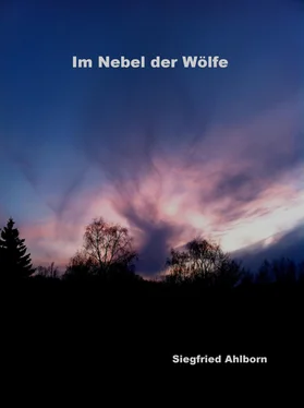 Siegfried Ahlborn Im Nebel der Wölfe обложка книги