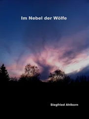 Siegfried Ahlborn - Im Nebel der Wölfe