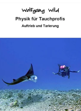 Wolfgang Wild Physik für Tauchprofis – Auftrieb und Tarierung обложка книги
