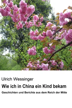 Ulrich Wessinger Wie ich in China ein Kind bekam обложка книги