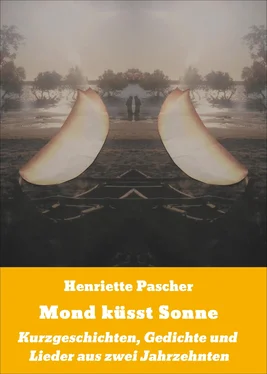 Henriette Pascher Mond küsst Sonne обложка книги