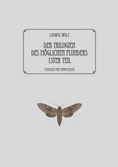 Ludwig Wolf - Der Trilogien des möglichen Plunders erster Teil