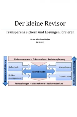 Mike Harijan Der kleine Revisor – Transparenz sichern Lösungen forcieren обложка книги