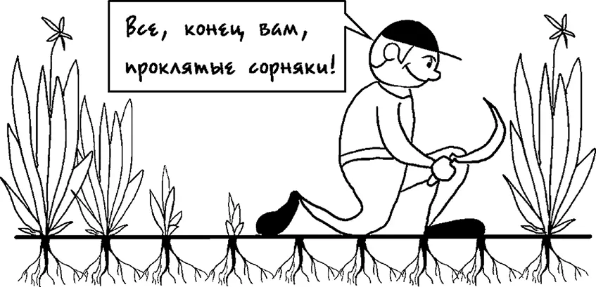 Рис 18Стратегия глупого садовода Наращивание усилий вместо спокойного анализа - фото 18