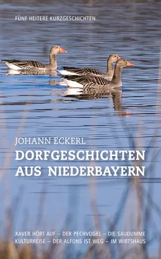 Johann Eckerl Dorfgeschichten aus Niederbayern обложка книги