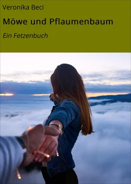 Veronika Beci Möwe und Pflaumenbaum обложка книги