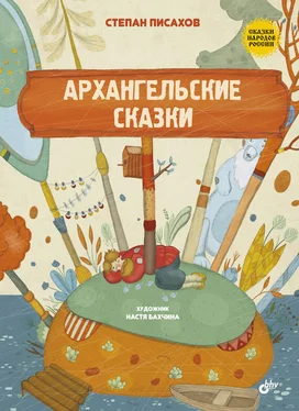 Степан Писахов Архангельские сказки обложка книги