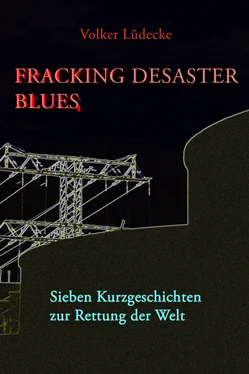 Volker Lüdecke Fracking Desaster Blues обложка книги